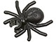 Spider (30238 / 4113209)