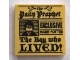 Tile 2 x 2 with &#39;the Daily Prophet - EXCLUSIVE HARRY POTTER - The Boy who LIVED!&#39; and Image of Boy with Glasses Pattern (3068bpb1156 / 6236629)