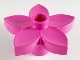 Duplo Plant Flower with 1 Top Stud